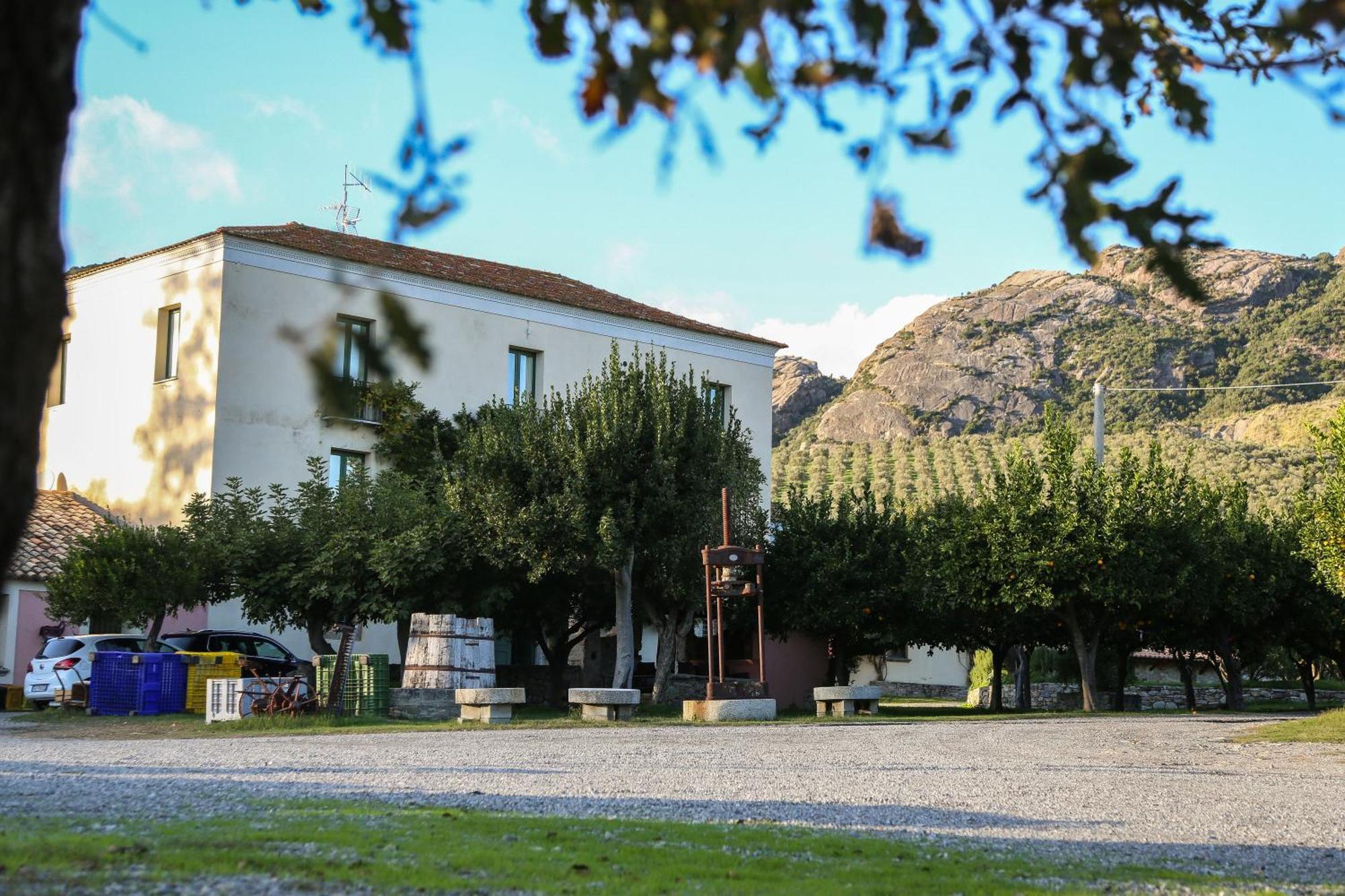 Barone Gr Macri Agriturismo Modi Gerace Kültér fotó