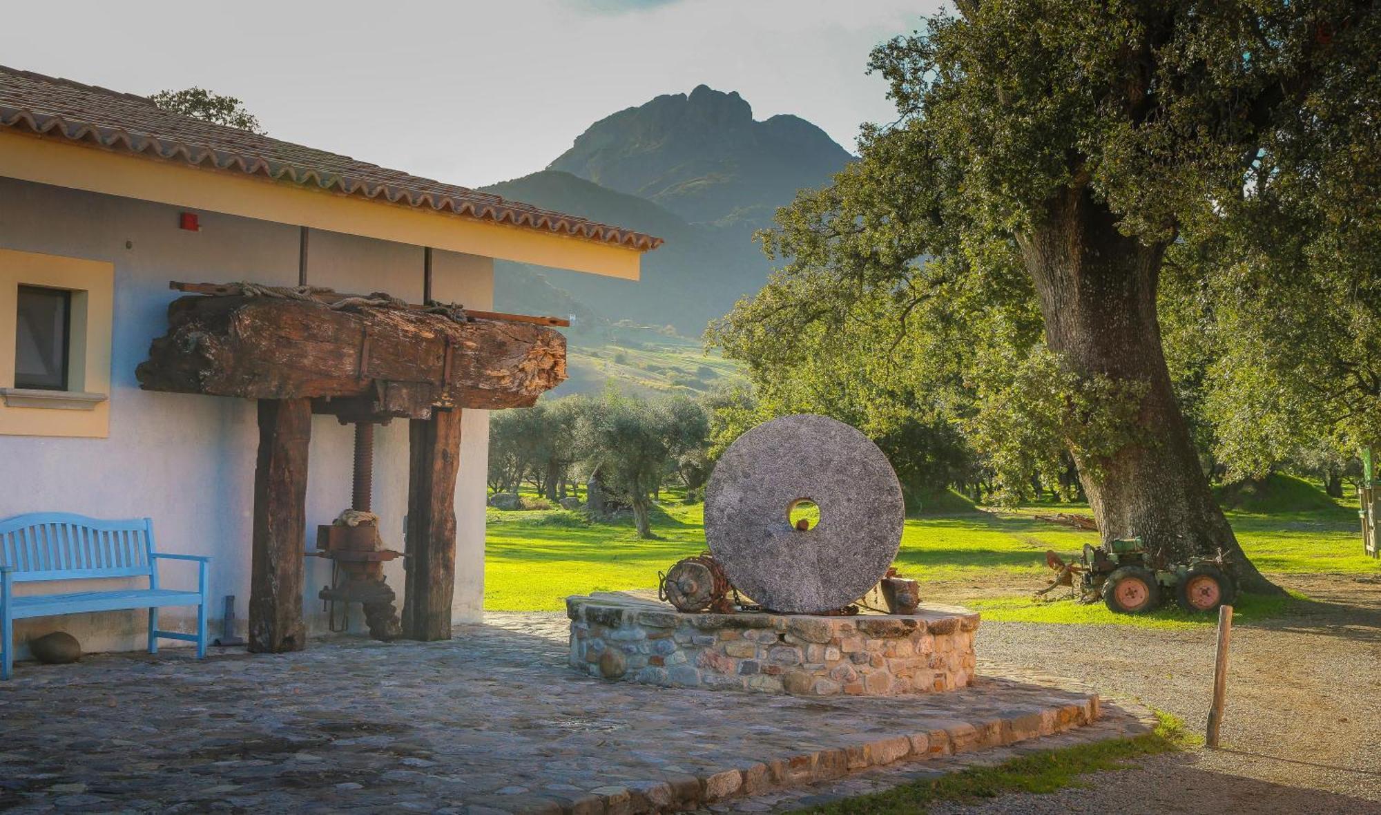 Barone Gr Macri Agriturismo Modi Gerace Kültér fotó
