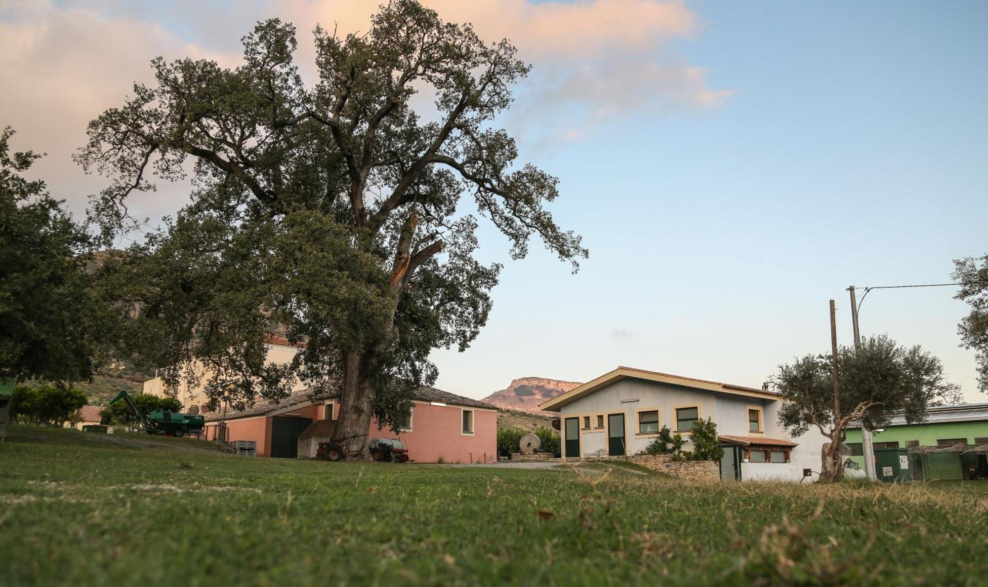 Barone Gr Macri Agriturismo Modi Gerace Kültér fotó