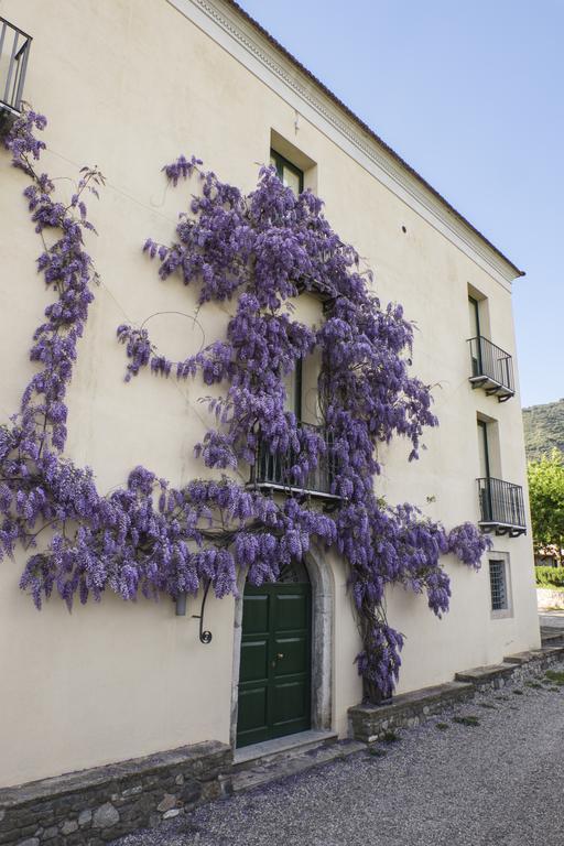 Barone Gr Macri Agriturismo Modi Gerace Kültér fotó